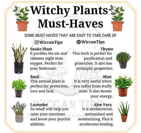 Exploring the Protective Properties of Wiccan Herbs